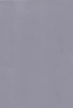 Page 4 of Papa nara Ii yo..