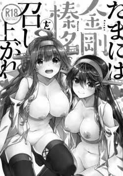 Page 3 of Tama ni wa Kongou Haruna o Meshiagare