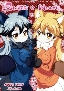 Page 1 of SILVER NORTH