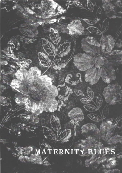 Page 17 of MATERNITY BLUES