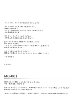 Page 22 of MG-001