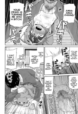 Page 14 of Wagaya no Neko Jijou | Our Home's Cat Situation