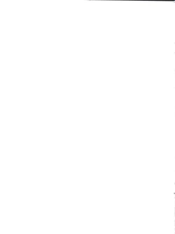 Page 19 of Super Link! Ver. Rodimus