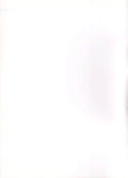 Page 2 of 2Stroke MX