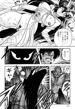 Page 313 of Seirei Tokusou Fairy Saber EX