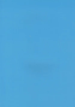 Page 22 of SUTADORICHIN 2012