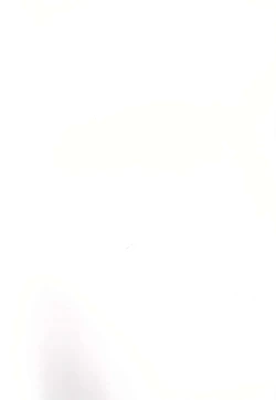 Page 2 of Rukakonosusume