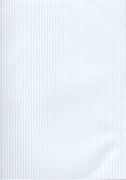 Page 2 of Kaze No Prism