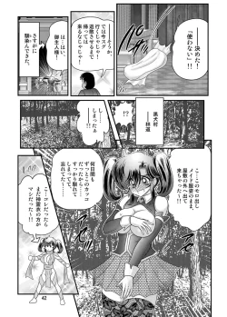 Page 43 of Seirei Tokusou Fairy Saber W Kuro Kanjuu
