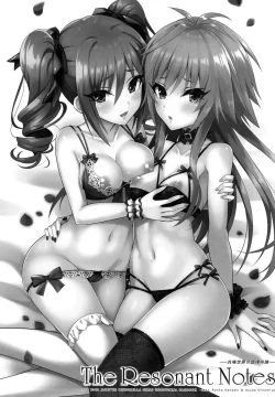 Page 3 of The Resonant Notes