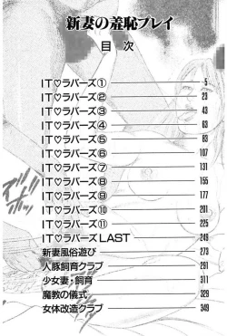 Page 4 of Niizuma No Shuuchi Play