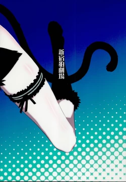 Page 22 of Holdup problem Rising