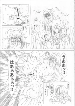 Page 29 of PULP Atarashii Nakoruru Kyoukasho