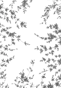 Page 2 of Hanagumi Gomangahou