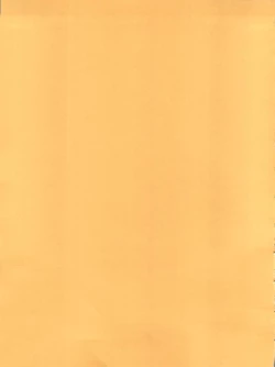 Page 37 of ORANGE PIE Vol. 3