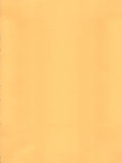 Page 4 of ORANGE PIE Vol. 3