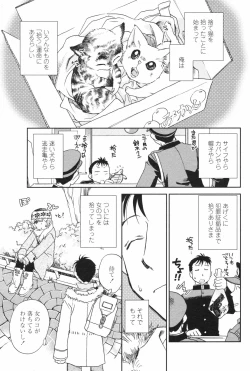 Page 71 of COMIC Penguin Club 2008-02