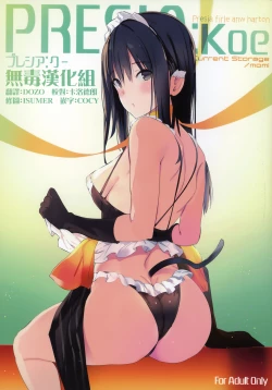 Page 1 of PRESIA:koe