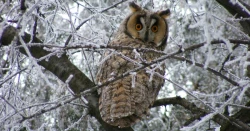 Page 30 of Chou à la Crème Syndrome | 泡芙症候群