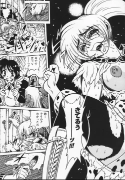 Page 77 of Shirayuri no Kenshi Anthology Comics