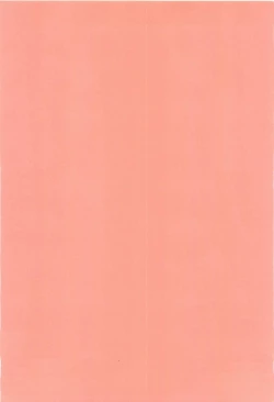 Page 3 of ぬえちゃんは視られたい