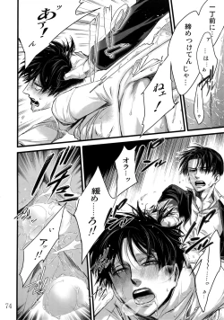 Page 73 of LeviEre Sairokushuu