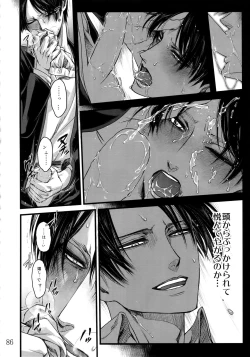 Page 85 of LeviEre Sairokushuu