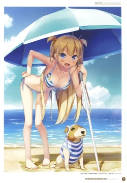 Page 14 of Kantoku Publicity Visual book