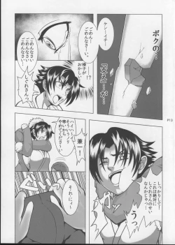 Page 14 of Shintogourinsan Ori