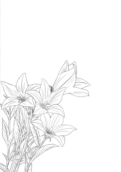 Page 20 of Hikari no Kimi no Saganaki Keikaku <Akashi>