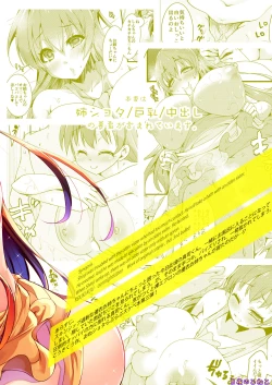 Page 23 of Kyonyuu no Onee-chan wa Suki desu ka? DREI