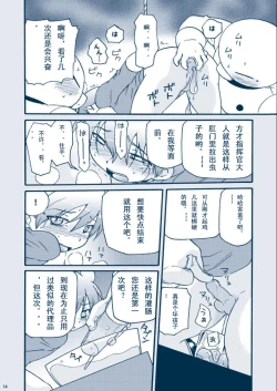 Page 14 of Kimaira Kenkyuu File - Chimera Research File