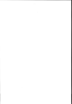 Page 3 of Sanae-san no Ura Hounousai