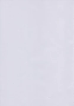 Page 24 of Yoru no Otsutome Z