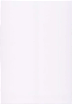 Page 19 of D.L. action 120