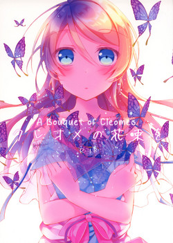 Download Cleome no Hanataba o | A Bouquet of Cleomes
