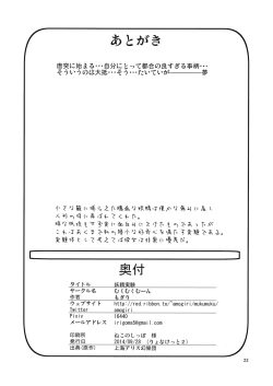 Page 22 of Yousei Jikken