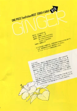 Page 3 of GINGER