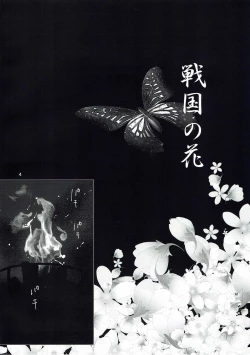 Page 3 of 戦国の花