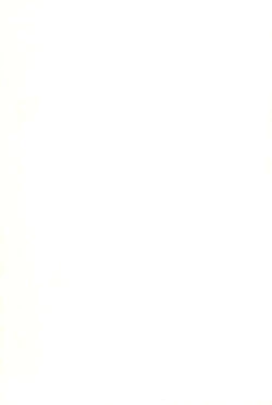 Page 2 of Momomomomo