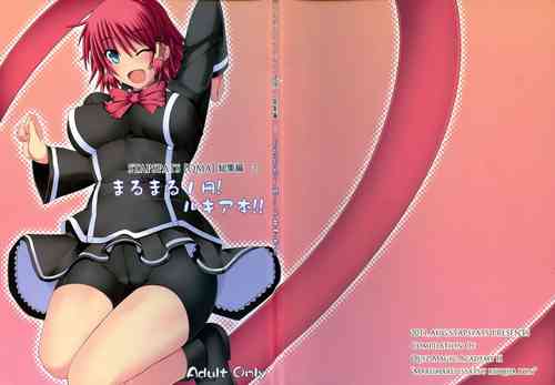 Download Stapspats QMA Soushuuhen 2: Marumaru Issatsu! Ruquia Hon!!