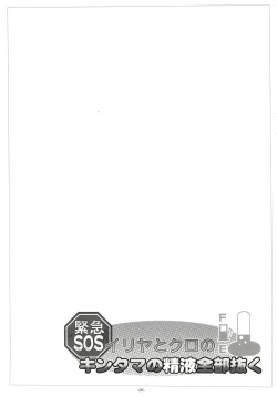 Page 2 of Illya to Kuro no, Kintama no Seieki Zenbunuku