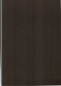 Page 19 of Andira Shiru | Andira Juice