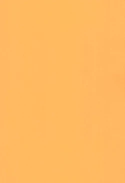 Page 29 of Fondle Lollipop