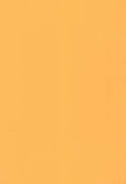 Page 3 of Fondle Lollipop