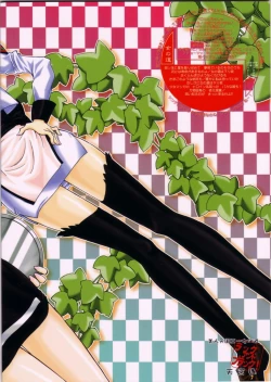 Page 24 of Bijin Tengoku 2