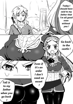 Page 2 of Link to Zelda no Shoshinsha ni Yasashii Sex Nyuumon | Here is a little lesson about Link and Zelda's relation