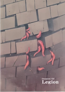 Page 18 of Dungeon Elf Legion