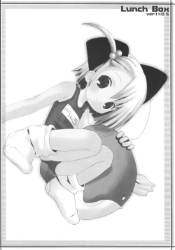 Page 11 of lunch Box ver1x0.5