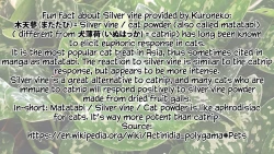 Page 37 of Boy Meets Nyaa God | Boy Meets Cat Goddess Ch. 1-3